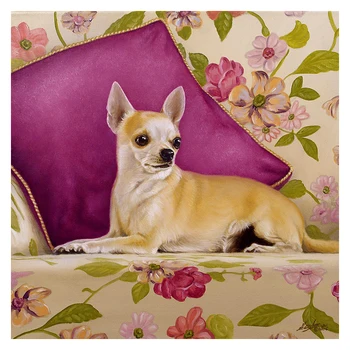Completo Quadrado Bordado de Diamante Animal do Diamante Pintura Chihuahua na cama Ponto Cruz Diamante Mosaico de obra de Bordador cão de Natal