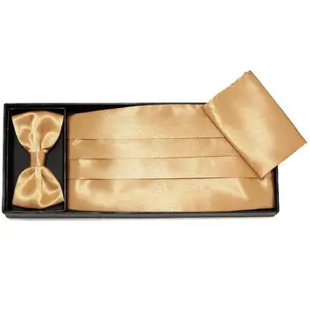 HOOYI 2019 caixa de presente Cummerbunds bowties cerimonial cinto faixa cintos butterfly Lenços de Bolso praça da gravata