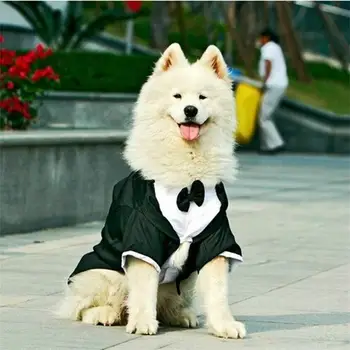 Grande Cão-Roupas De Cachorro Grande Casamento Terno Smoking Vestuário Roupas Para Bulldogs Cão Festa Formal Terno Jaqueta Casaco Do Traje De Vestuário